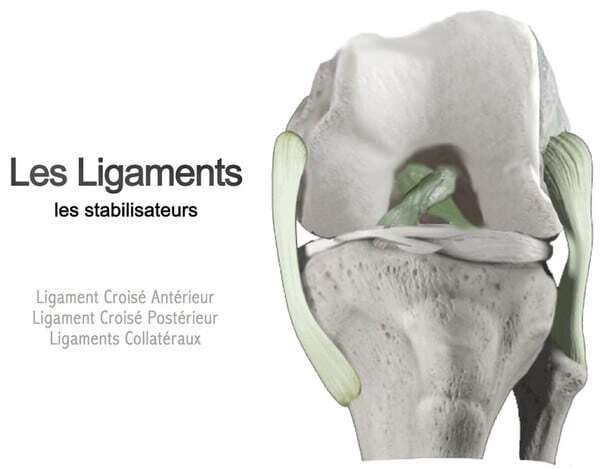 entorse genou sans gonflement entorse genou duree arret de travail entorse genou ligament interne docteur anthony wajsfisz clinique drouot sport et arthrose