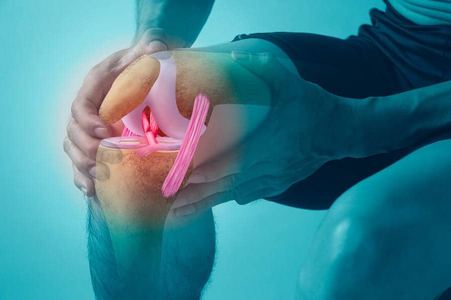 Qu’est-ce que les ligaments croisés ?